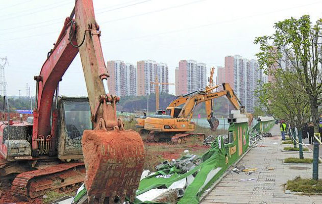 辛集市高速口綠化提升工程
