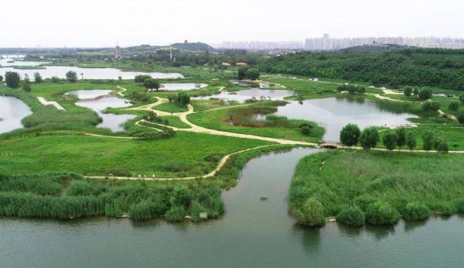 滄縣2015年度地下水超采綜合治理