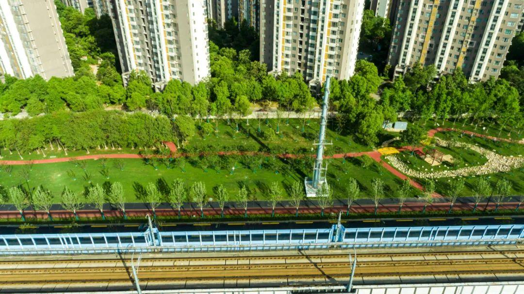 鹽山縣鳳池環島、鳳凰路、平安大街綠化